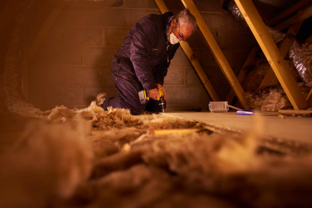 Best Insulation Maintenance and Repair in Stuart, VA